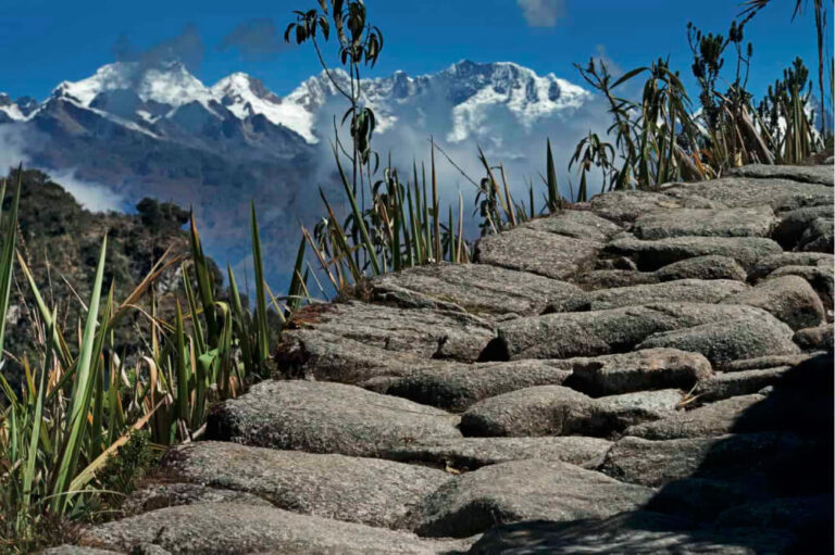 The Inca trail to Machu Picchu