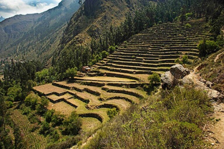 Agricultural Terraces of Media Luna