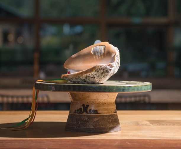 Caracola Inca Pututu expuesta sobre mesa en restaurante