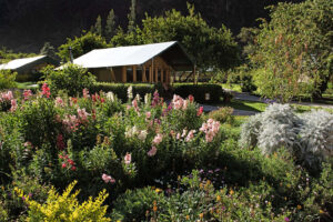 Tent with flowers at Las Qolqas Eco Lodge