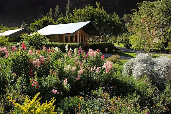 Group Tent with Flowers